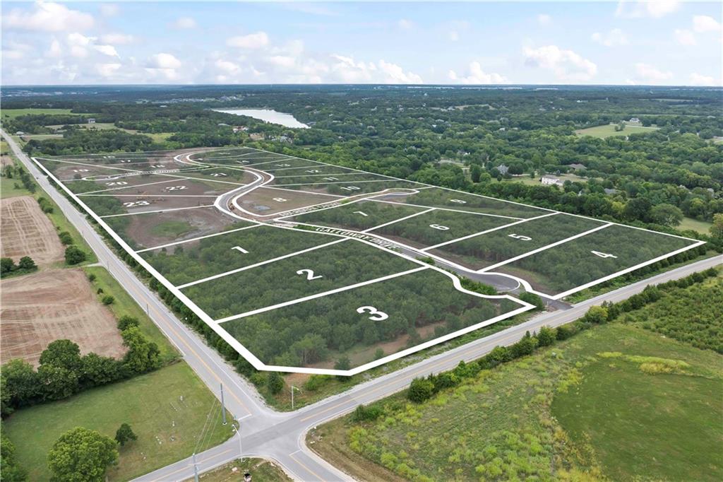 Listing Photo MLS #HMS2484334