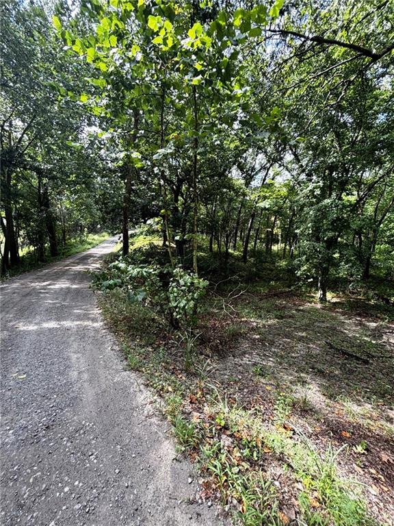 Listing Photo MLS #HMS2517132