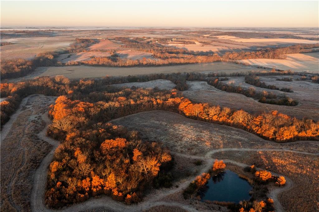 Listing Photo MLS #HMS2522177