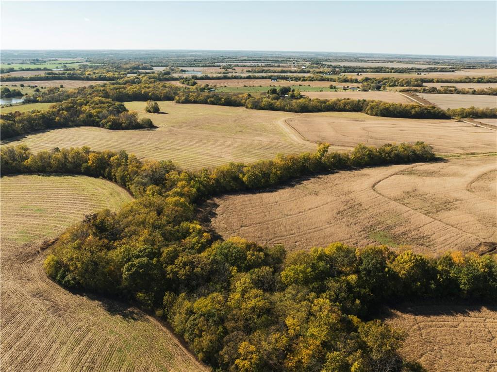 Listing Photo MLS #HMS2522821