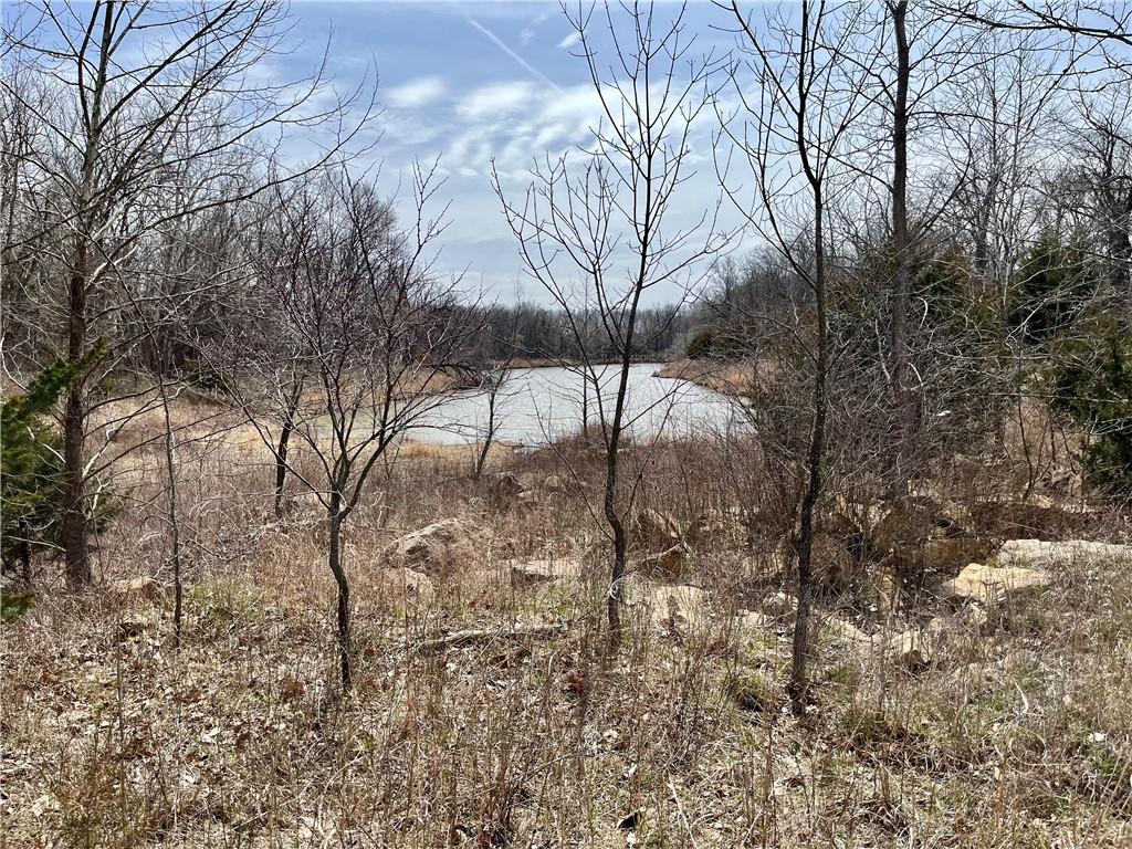 Listing Photo MLS #HMS2531528