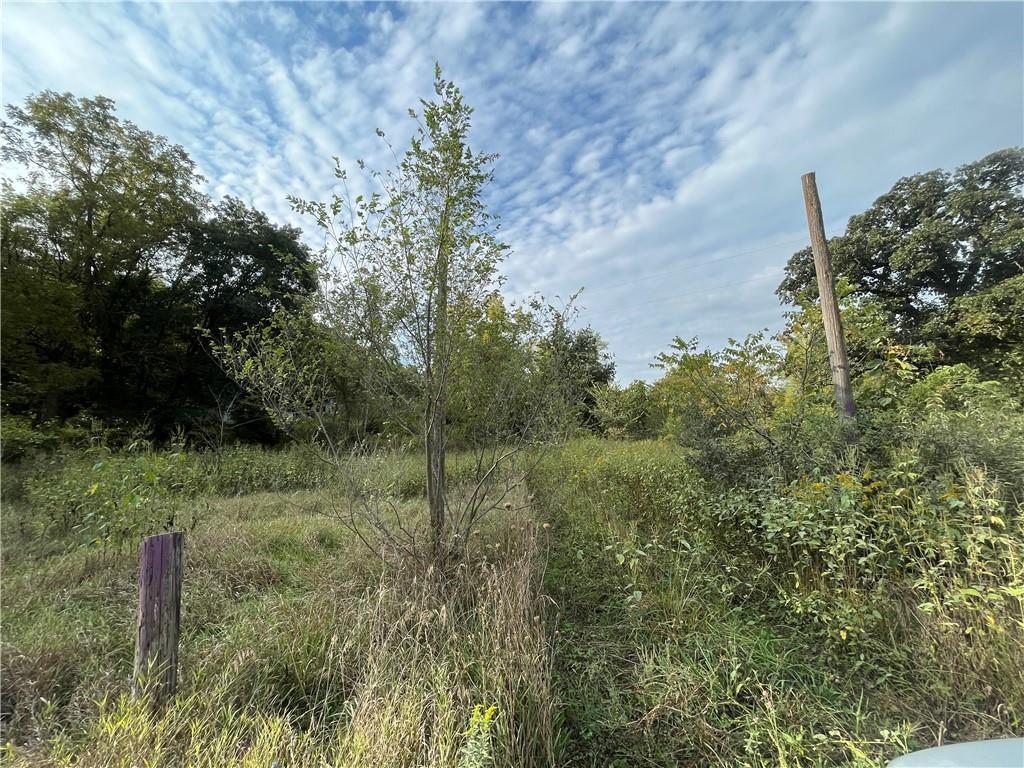 Listing Photo MLS #HMS2532215