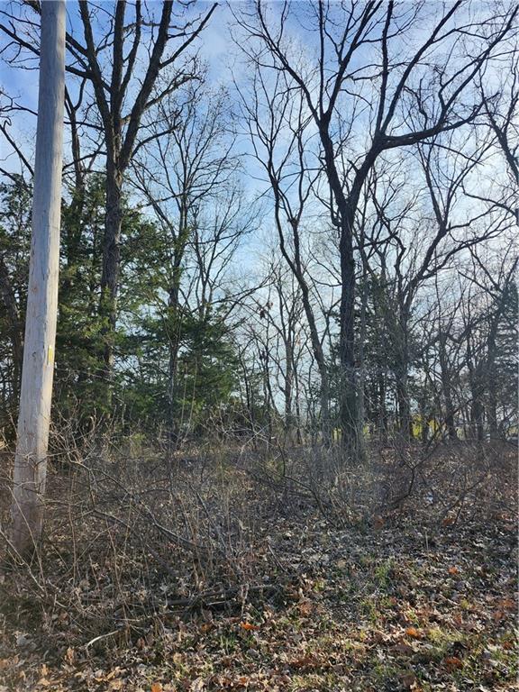 Listing Photo MLS #HMS2535678