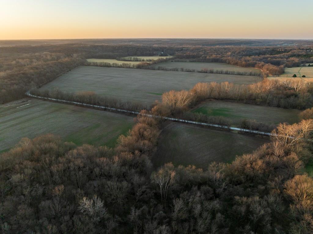 Listing Photo MLS #HMS2537151