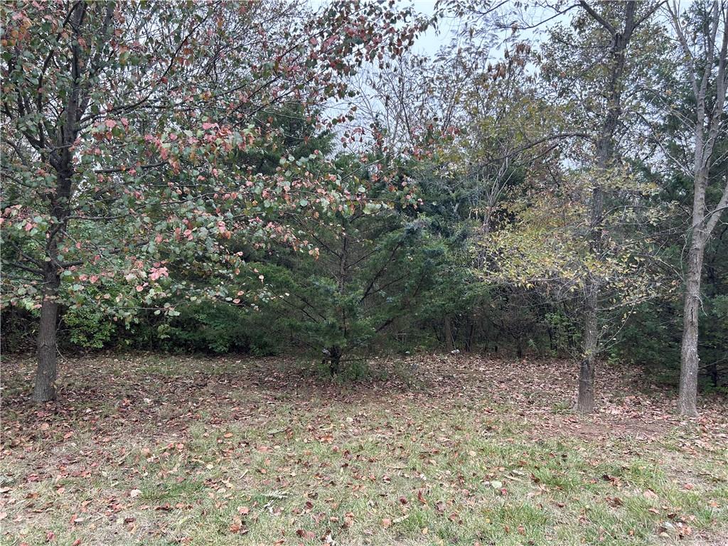 Listing Photo MLS #HMS2538688