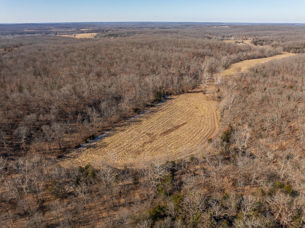 Listing Photo MLS #HMS2545441