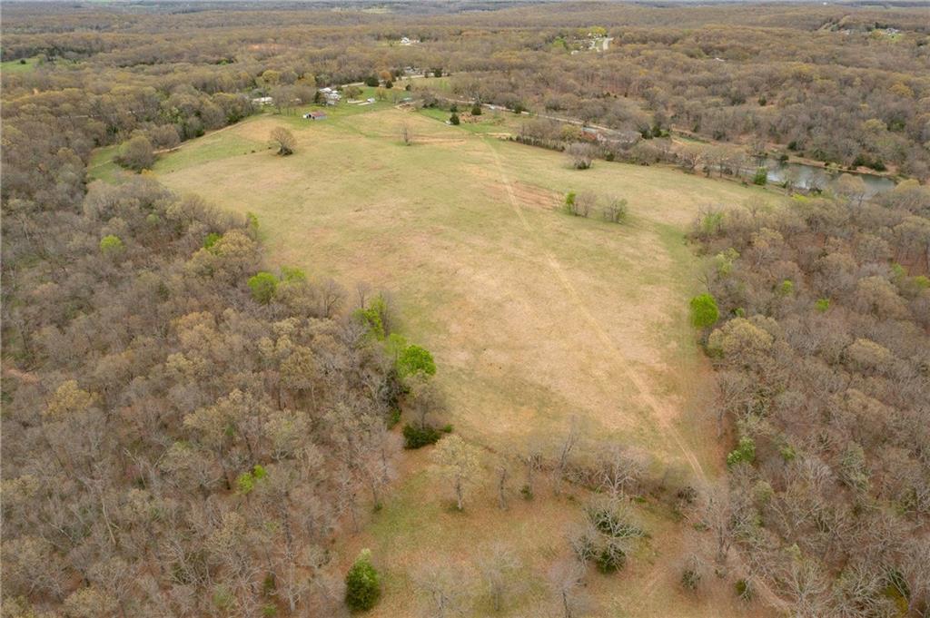 Listing Photo MLS #HMS2546183