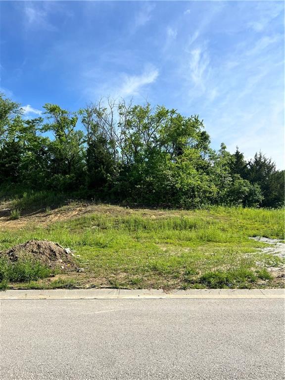 Listing Photo MLS #HMS2552494