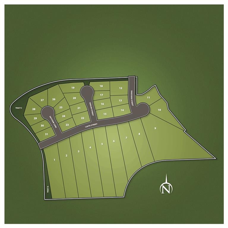 Listing Photo MLS #HMS2557394