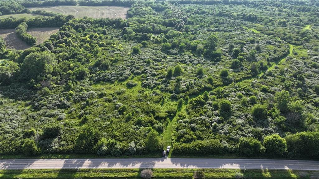 Listing Photo MLS #HMS2558412