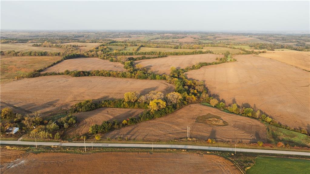 Listing Photo MLS #HMS2558462