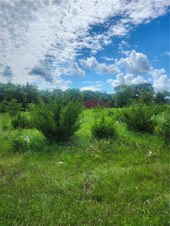 Listing Photo MLS #HMS2560289