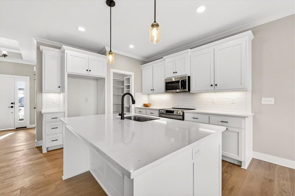 Listing Photo MLS #HMS2563901