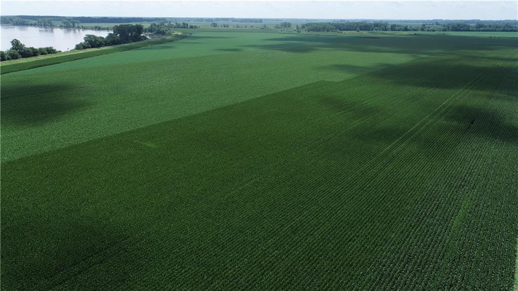 Listing Photo MLS #HMS2564113