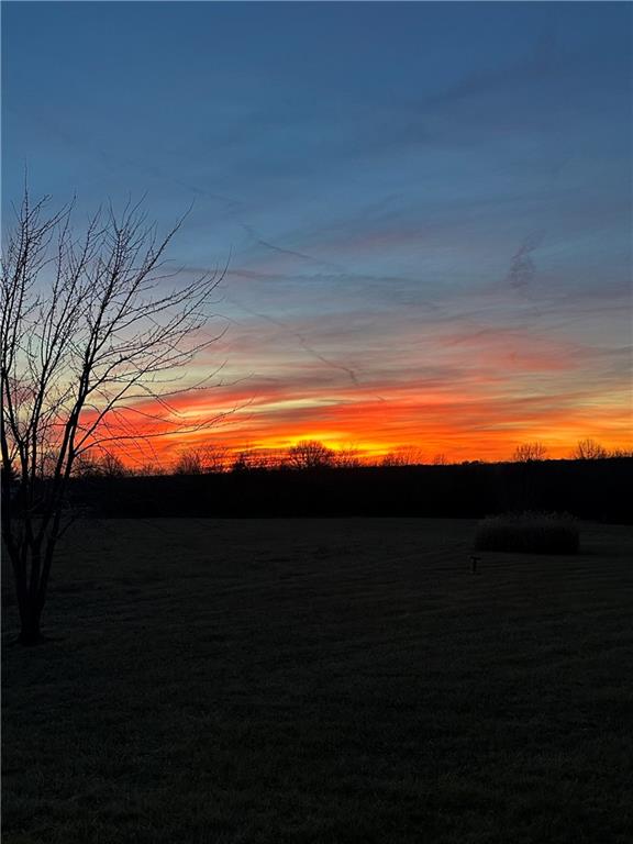 Listing Photo MLS #HMS2565308