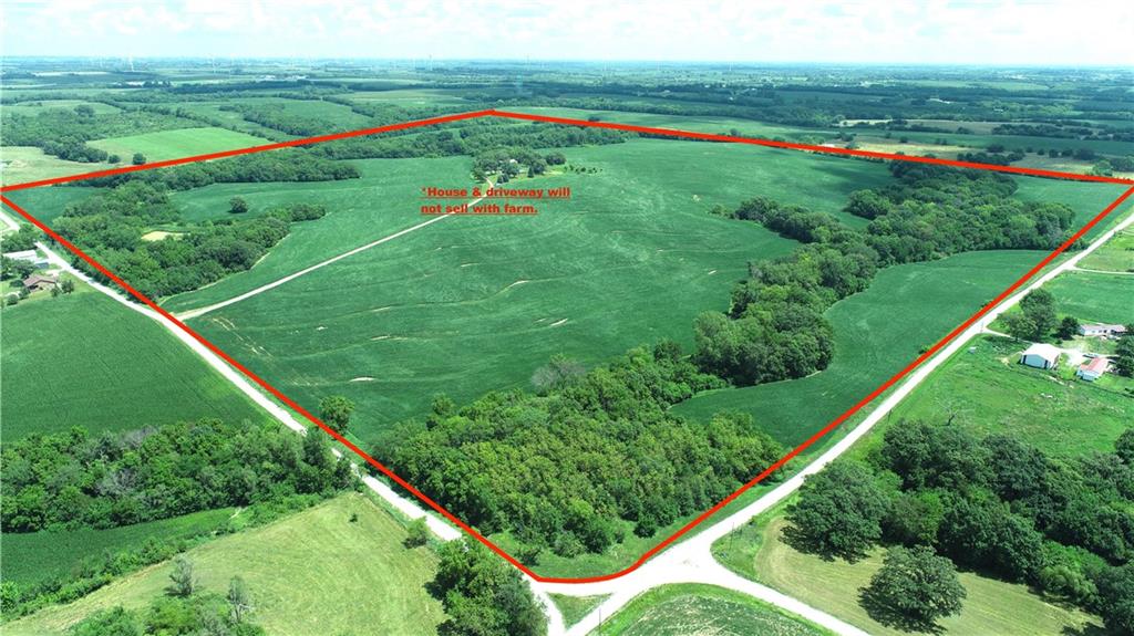 Listing Photo MLS #HMS2565407