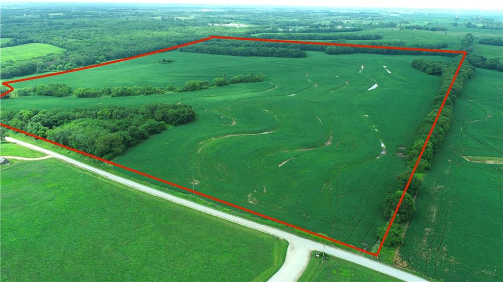 Listing Photo MLS #HMS2565444