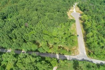 Listing Photo MLS #HMS2567592