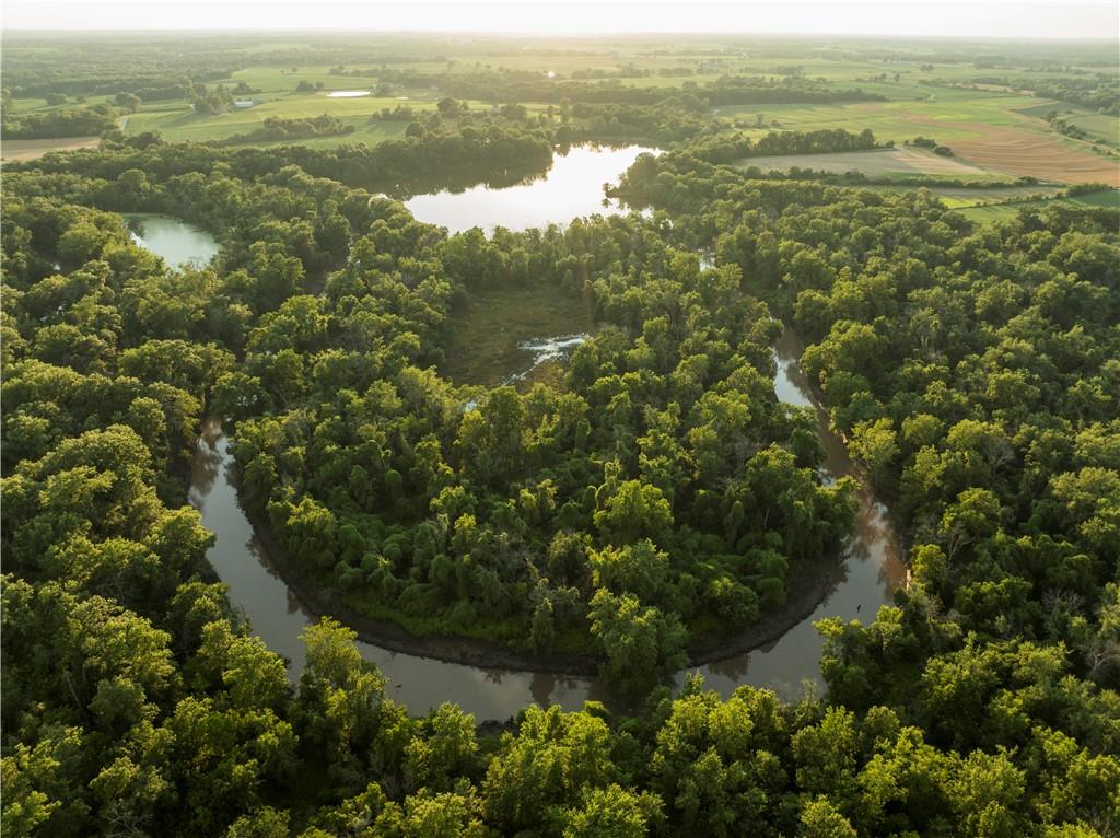 Listing Photo MLS #HMS2568314