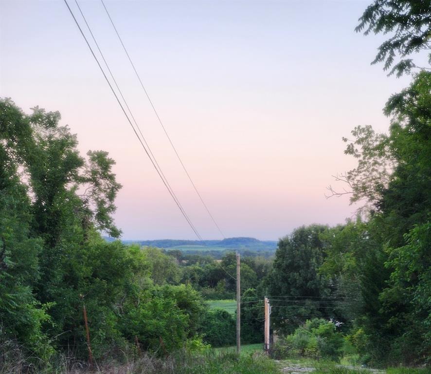 Listing Photo MLS #HMS2570332