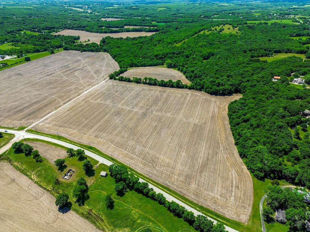 Listing Photo MLS #HMS2570872