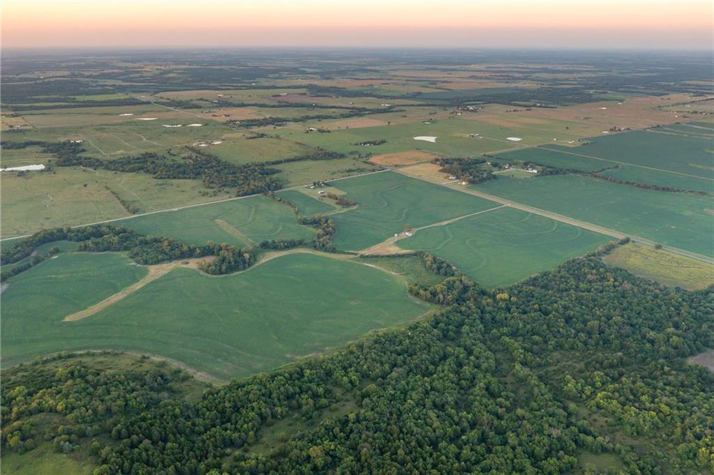 Listing Photo MLS #HMS2572312