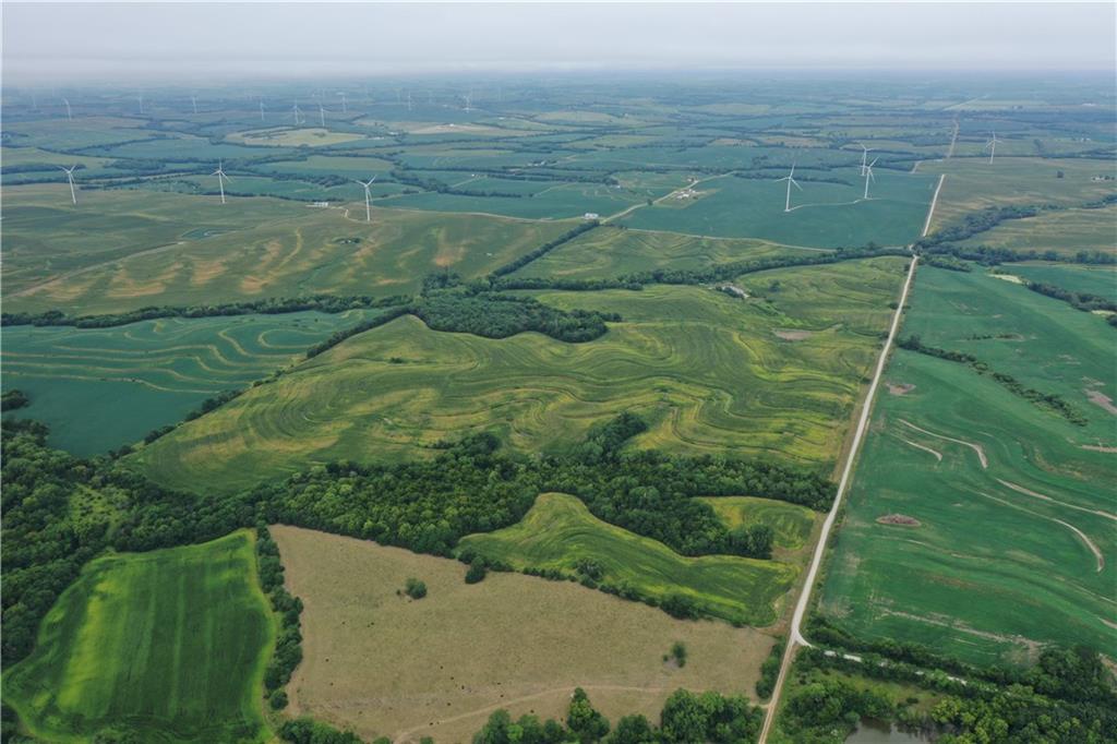 Listing Photo MLS #HMS2574020