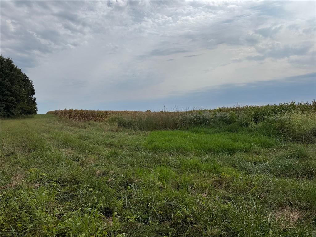 Listing Photo MLS #HMS2574170