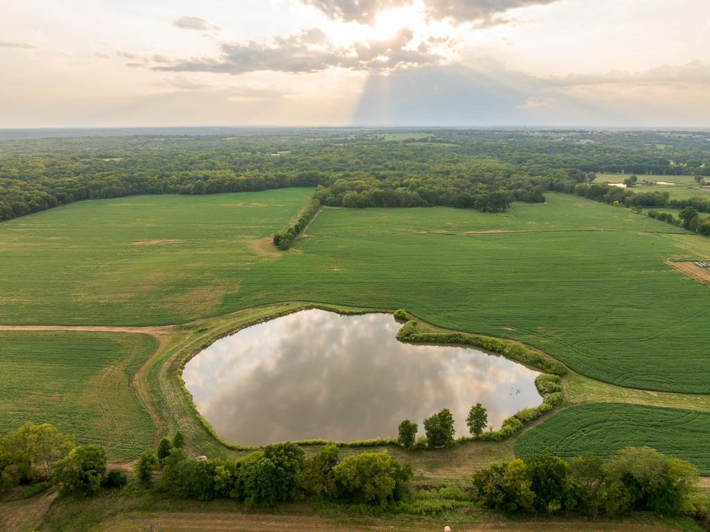 Listing Photo MLS #HMS2575006