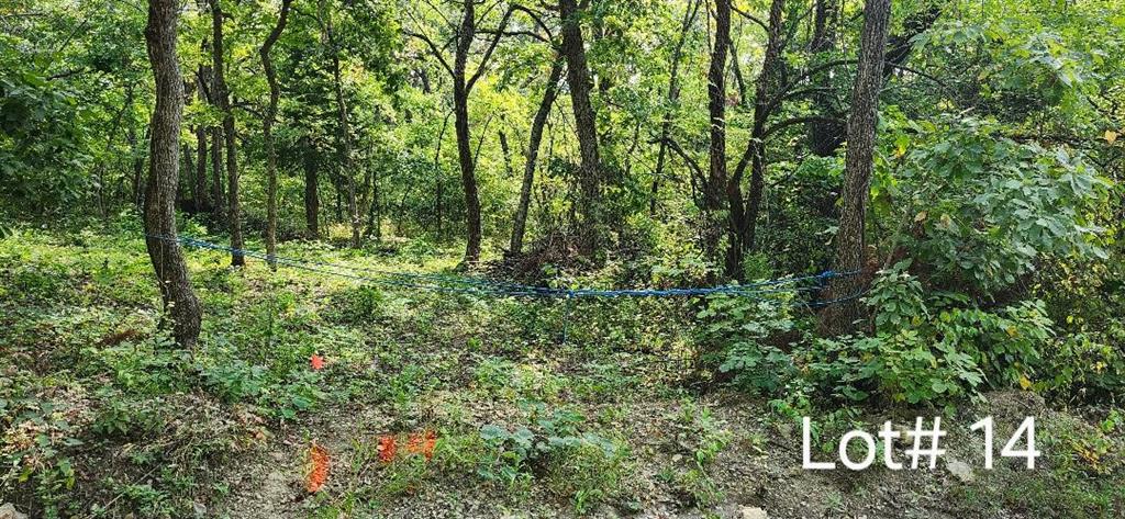 Listing Photo MLS #HMS2575634