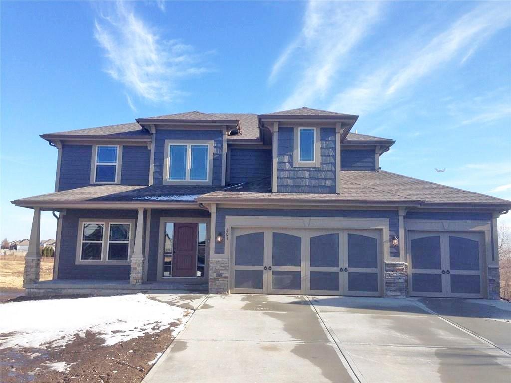 Listing Photo MLS #HMS2576543