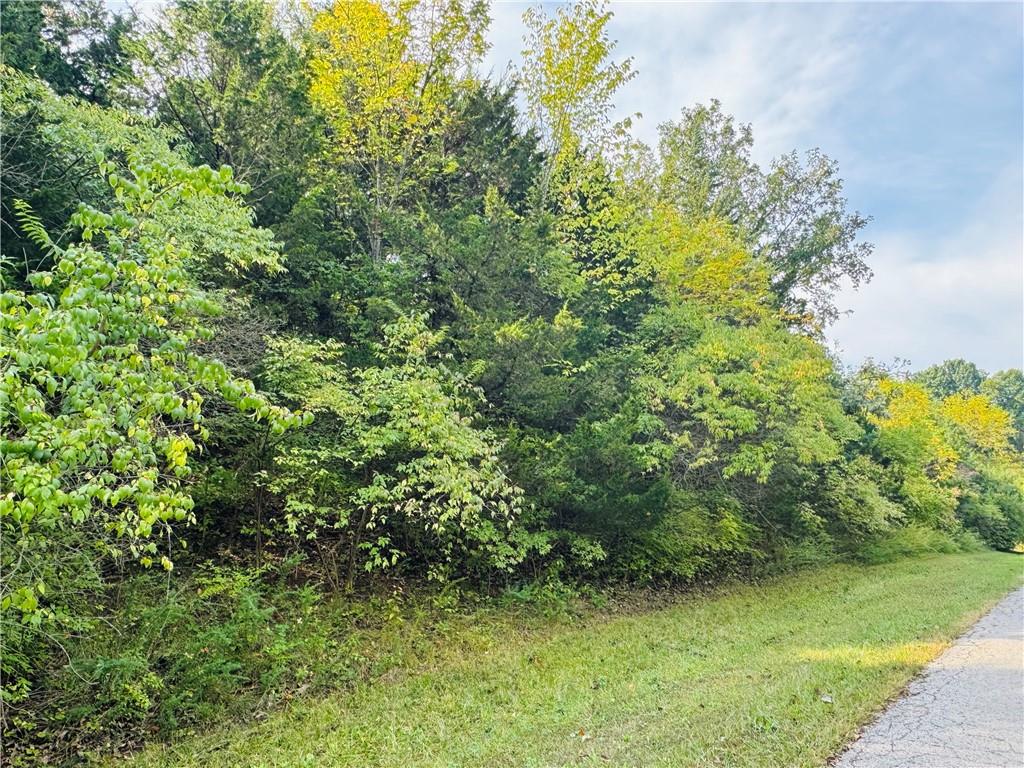 Listing Photo MLS #HMS2578394