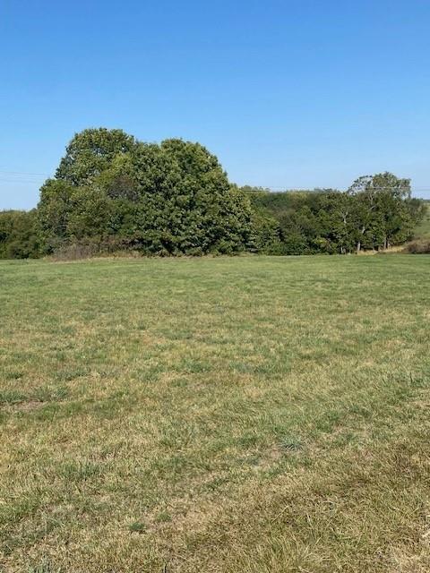 Listing Photo MLS #HMS2578741