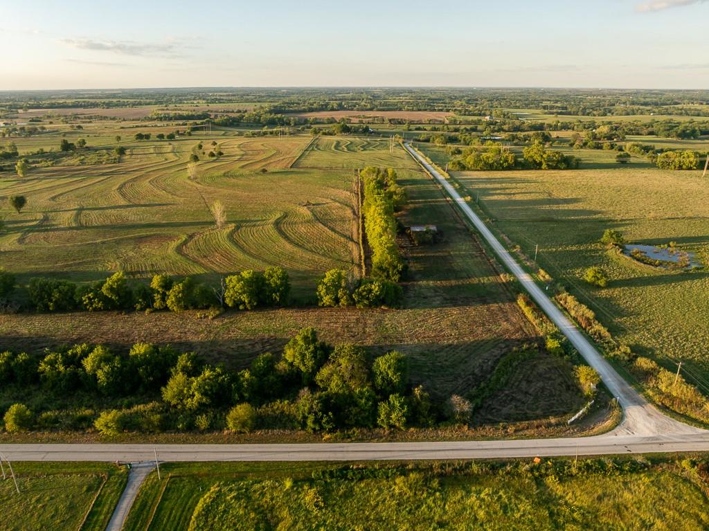 Listing Photo MLS #HMS2579332