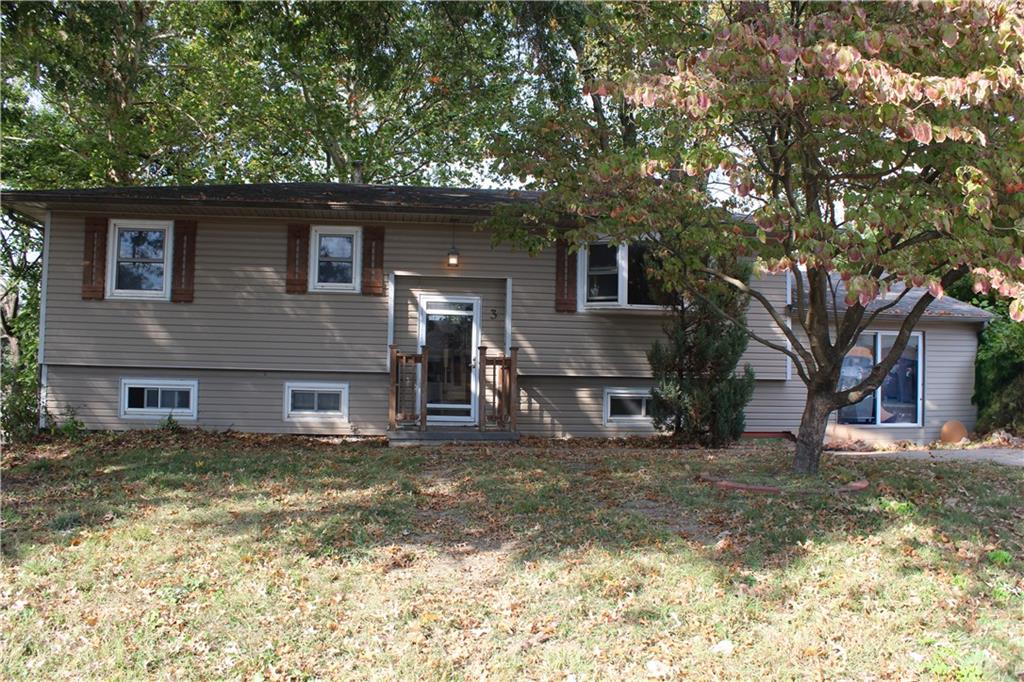 Listing Photo MLS #HMS2582565