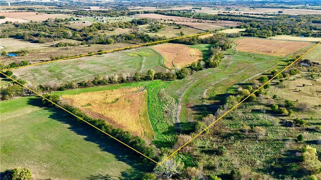 Listing Photo MLS #HMS2582853