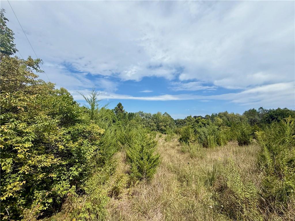 Listing Photo MLS #HMS2583734