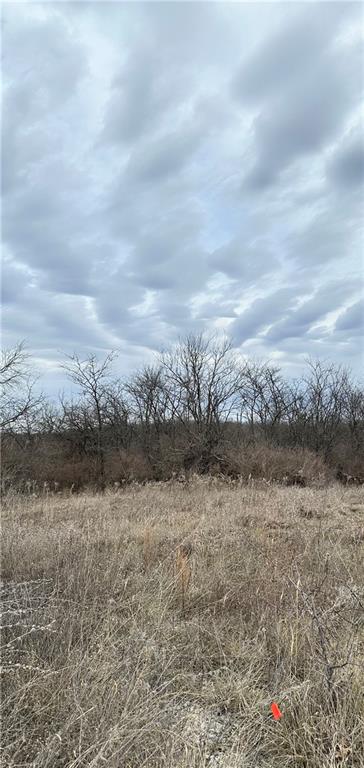 Listing Photo MLS #HMS2583799