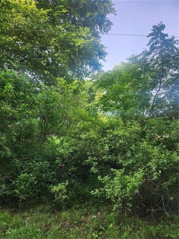 Listing Photo MLS #HMS2585253