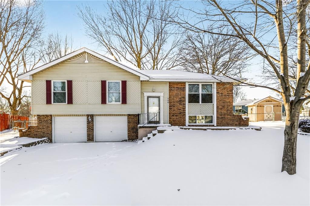 Listing Photo MLS #HMS2586643