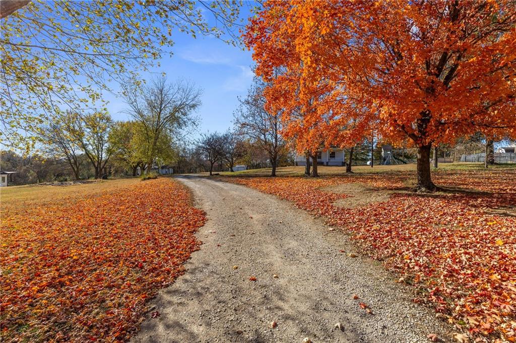 Listing Photo MLS #HMS2587374