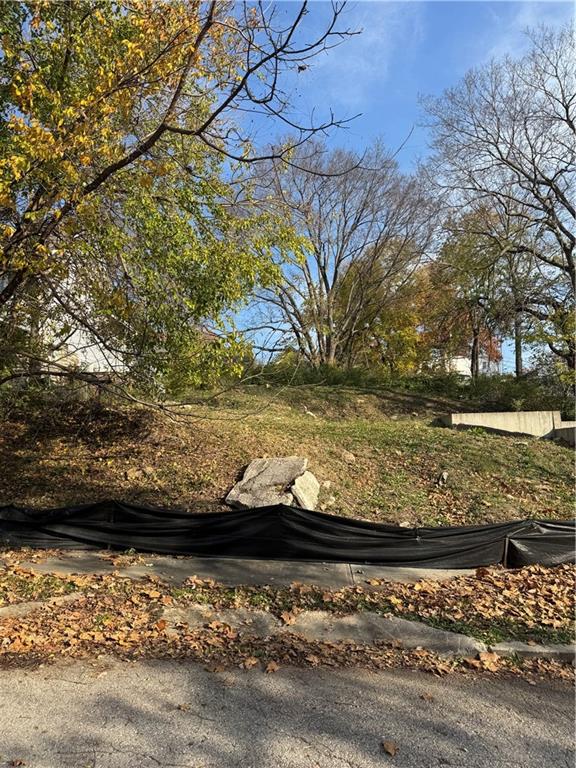 Listing Photo MLS #HMS2589341