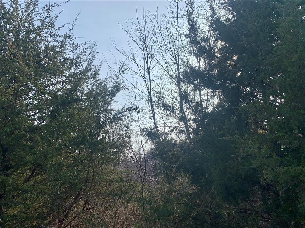 Listing Photo MLS #HMS2591945