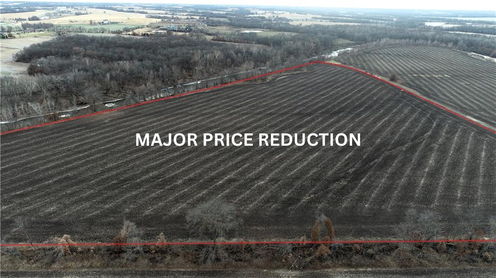 Listing Photo MLS #HMS2591993