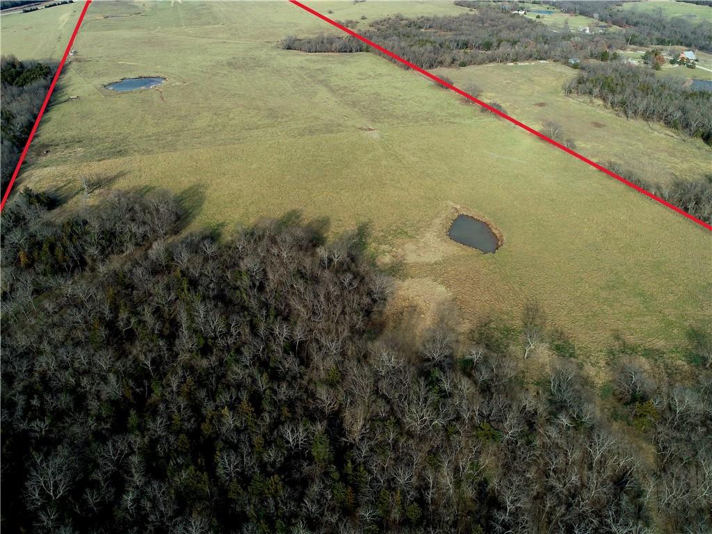 Listing Photo MLS #HMS2592664