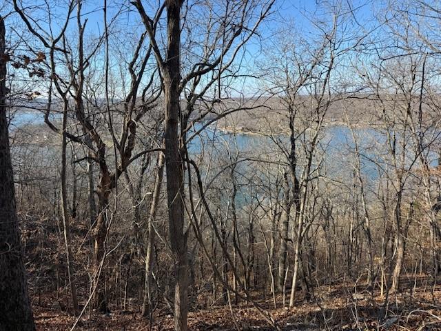 Listing Photo MLS #HMS2594416