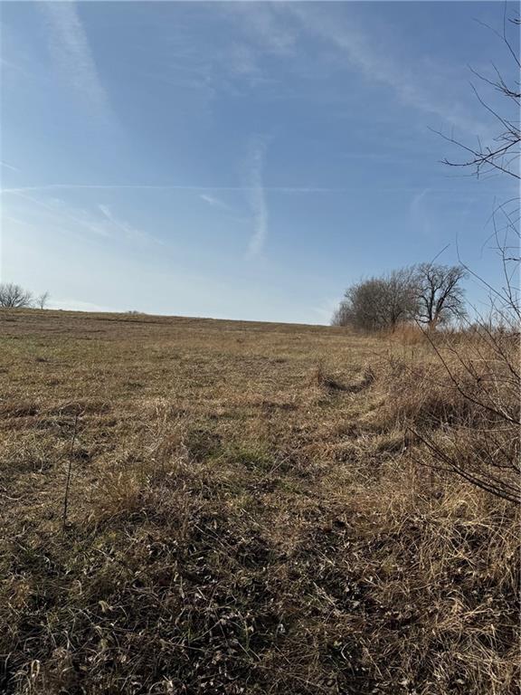 Listing Photo MLS #HMS2594567