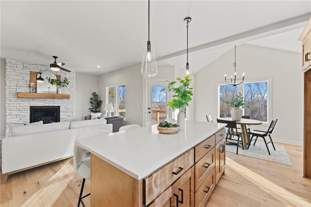 Listing Photo MLS #HMS2594631