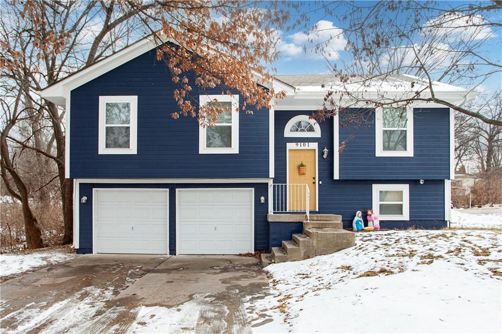 Listing Photo MLS #HMS2596982