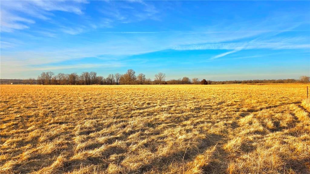 Listing Photo MLS #HMS2597706